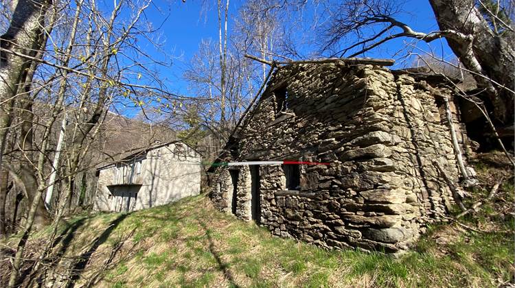 Rustico indipendente circondato da 19.000 mq di terreno