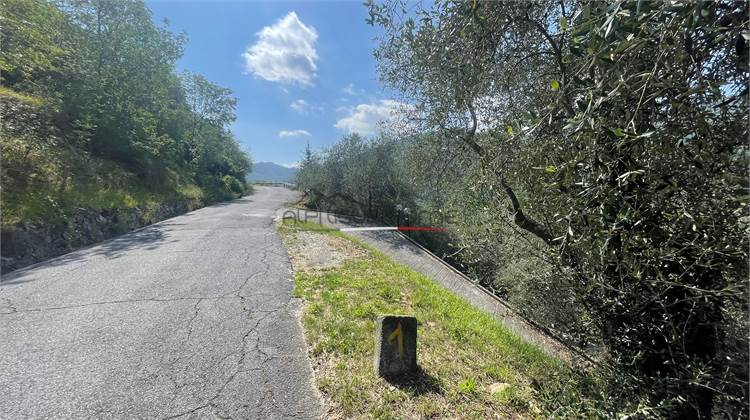 House of Character Sale in Pieve di Teco (IM) Loca